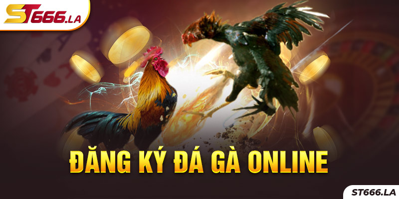 ST666_Đăng Ký Đá Gà Online Đơn Giản, Dễ Dàng Thực Hiện