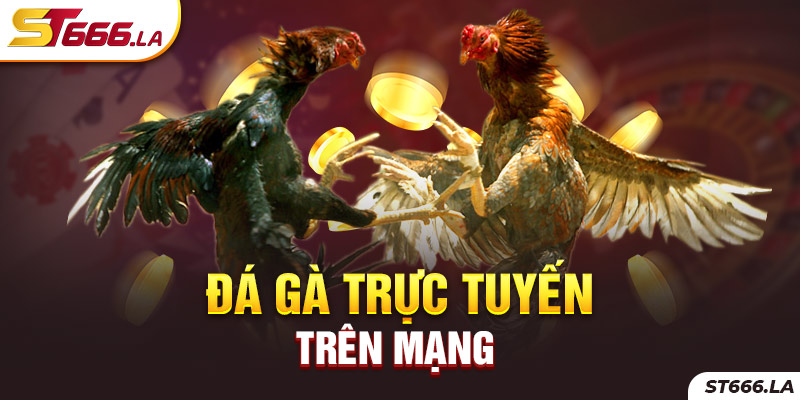 ST666_Đá Gà Trực Tuyến Trên Mạng Là Gì Và Ưu Điểm Nổi Bật