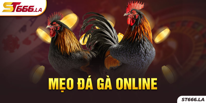 ST666_Chia Sẻ Mẹo Đá Gà Online Chắc Chắn Ăn Thưởng Khủng