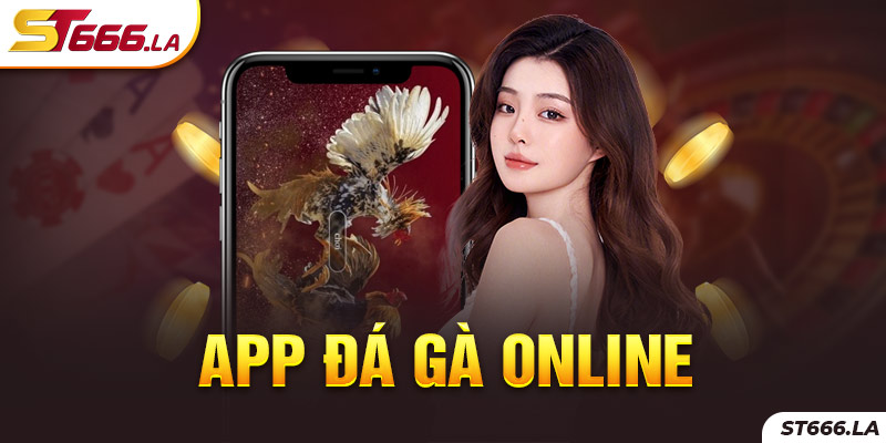 ST666_App Đá Gà Online - Cơ Hội Nhận Thưởng Khủng Cho Anh Em