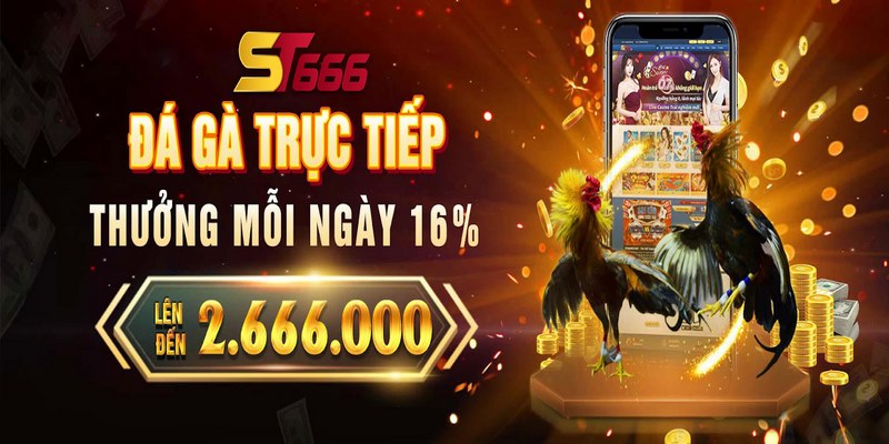 ST666_Đăng Ký Đá Gà Online Đơn Giản, Dễ Dàng Thực Hiện