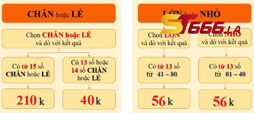 ST666_Thành Viên Mới Có Nên Chơi Xổ Số Keno Hay Không?