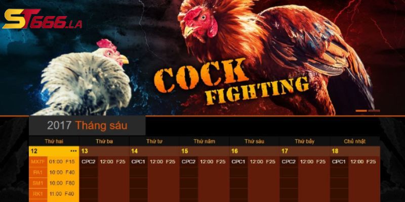 ST666_Hướng Dẫn Đá Gà Online Cực Đỉnh Ẵm Trọn Thưởng Lớn